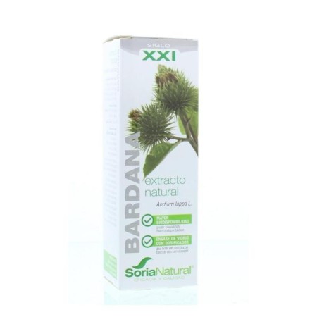 Arctium lappa xxi extr. fl.