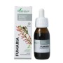 Fumaria officinalis xxi extr. fl.