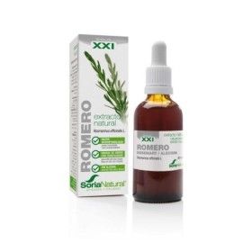 Rosmarinus officinalis xxi extr. fl.