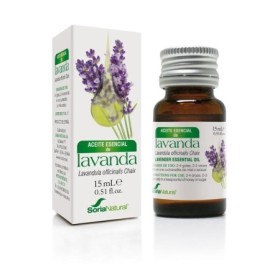 Lavandula officinalis