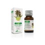 Thymus vulgaris