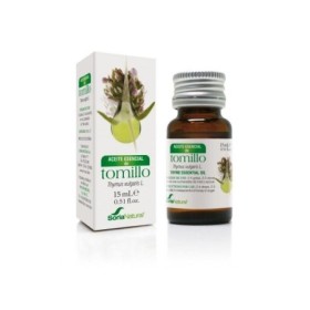 Thymus vulgaris