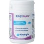 Ergymag 45
