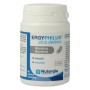 Ergyphilus plus defens 60