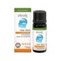 Ph synergie eo clear mind 10 ml eg