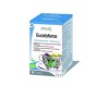 Ph eucalyforce kruideninfusie bio