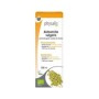 Ph epf alchemilla vulgaris 100 ml bio