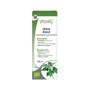 Ph epf urtica dioica 100 ml bio