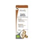 Ph epf zingiber officinale 100 ml bio