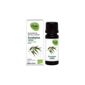 Oak eo eucalyptus radiata 10 ml bio
