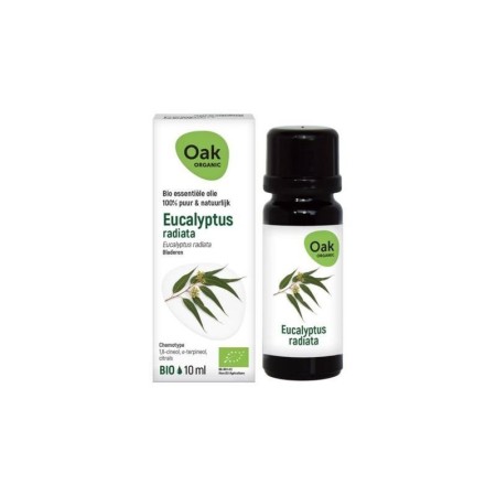 Oak eo eucalyptus radiata 10 ml bio