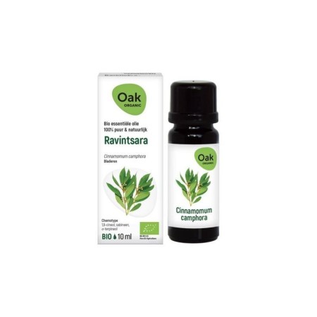 Oak eo ravintsara 10 ml bio