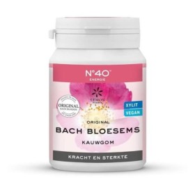 Kauwgom energie no. 40 | vegan - 40st
