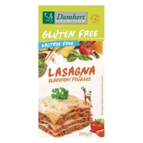 Gluten free lasagna