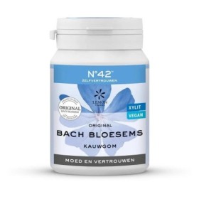 Kauwgom zelfvertrouwen no. 42 | vegan -