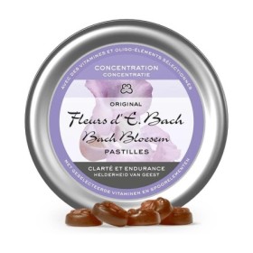 Pastilles concentratie no. 41 - 50g