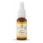 Bach bloesem no. 2 aspen bio - 20 ml