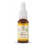 Bach bloesem no. 3 beech bio - 20 ml