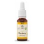 Bach bloesem no. 4 centaury bio - 20 ml