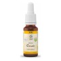 Bach bloesem no. 5 cerato bio - 20 ml