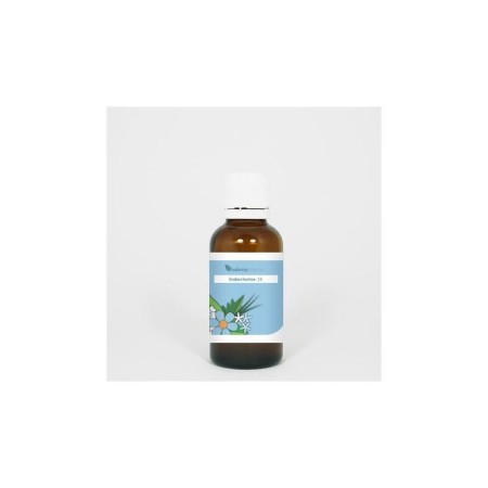 Endocrinotox 16 cycloreclimac
