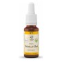 Bach bloesem no. 7 chestnut bud bio - 20