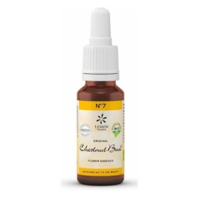 Bach bloesem no. 7 chestnut bud bio - 20