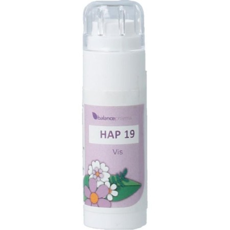 Hap 19 vis