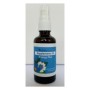 Supplements 15 energy plus spray