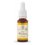 Bach bloesem no. 17 hornbeam bio - 20 ml