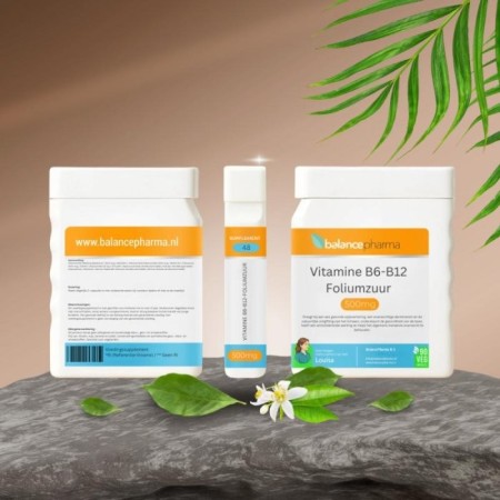 Supplements 48 vitamin b6-b12-foliumzuur