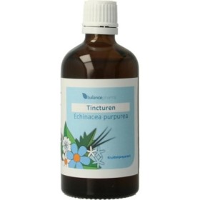 Tinctuur-019 echinacea purpurea