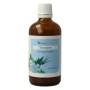 Tinctuur-023 ginkgo biloba