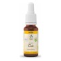 Bach bloesem no. 22 oak bio - 20 ml