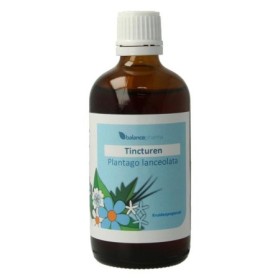 Tinctuur-034 plantago lanceolata