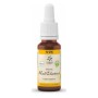 Bach bloesem no. 25 red chestnut bio