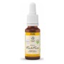 Bach bloesem no. 26 rock rose bio - 20 m