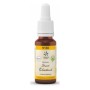 Bach bloesem no. 30 sweet chestnut bio -