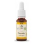 Bach bloesem no. 31 vervain bio - 20 ml