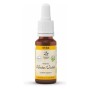 Bach bloesem no. 34 water violet bio - 2
