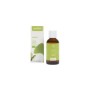 Puragem ginkgo 50 ml bio
