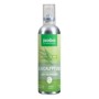 Frishi eucalyptus mix 100 ml
