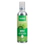 Frishi munt mix 100 ml