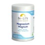 Magnesium magnum