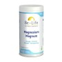 Magnesium magnum