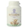 Bio pleurotus ostreatus p.poeder