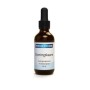 Koningskaars mullein extract alcoholvrij