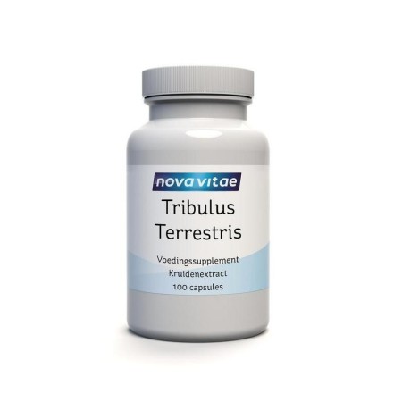 Tribulus terrestris