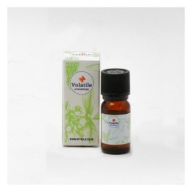 Palm beach 5ml