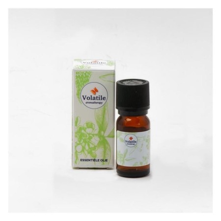 Palm beach 5ml